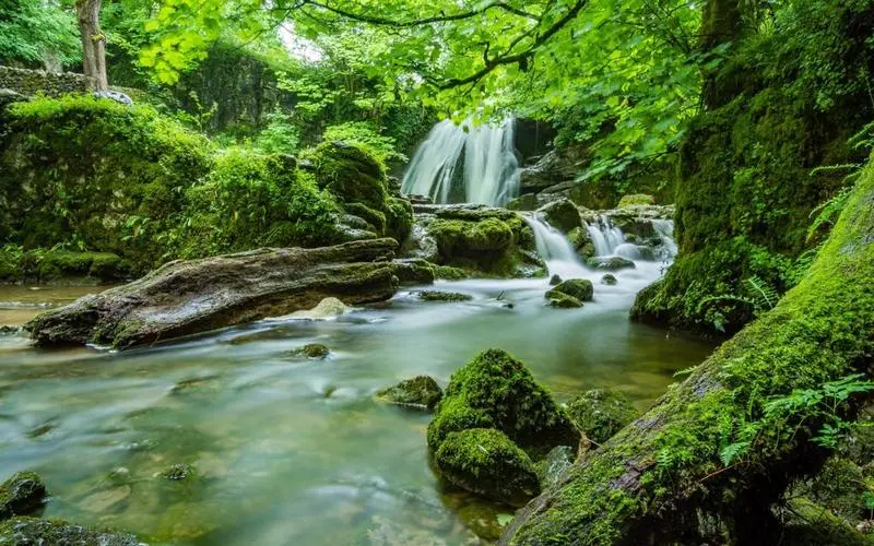 高精度电子稳定性